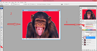 Tutorial| cara Cepat mengganti background Pas foto dengan photoshop cs3