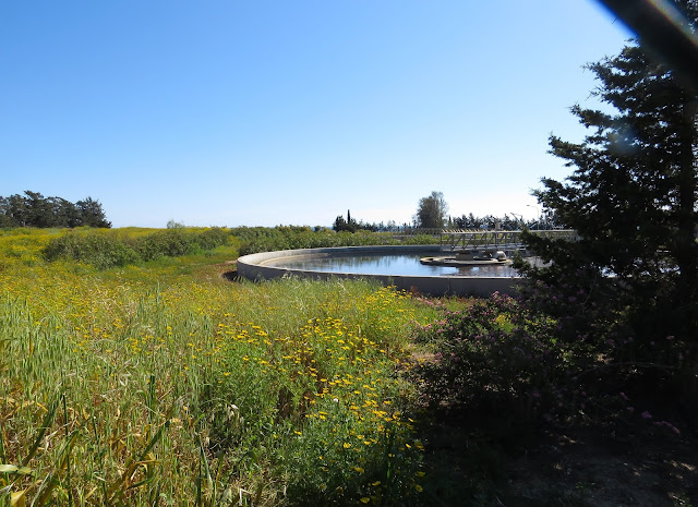 Paphos Sewage Works, Cyprus