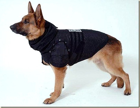 adiestramiento de perros policia1