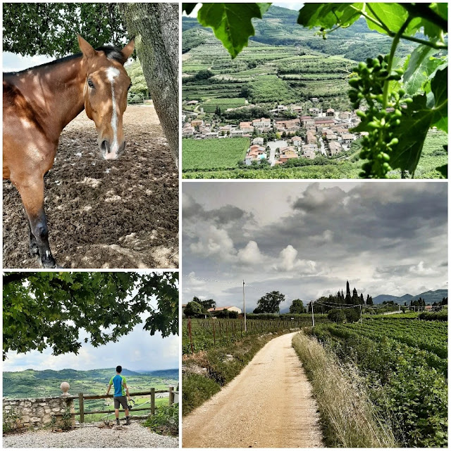 soave cosa vedere in un giorno