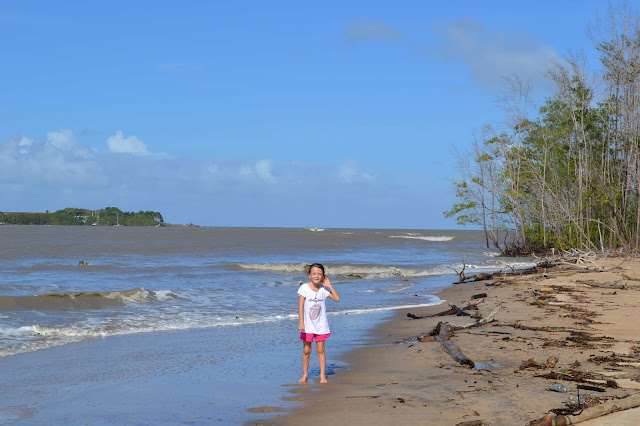 Guyane, kourou, route de Guatemala, plage