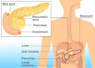 Pancreatic Cancer