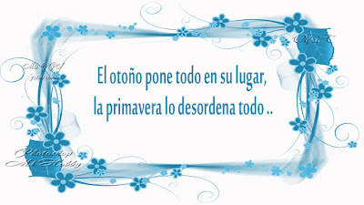 Frases  - Mensajes