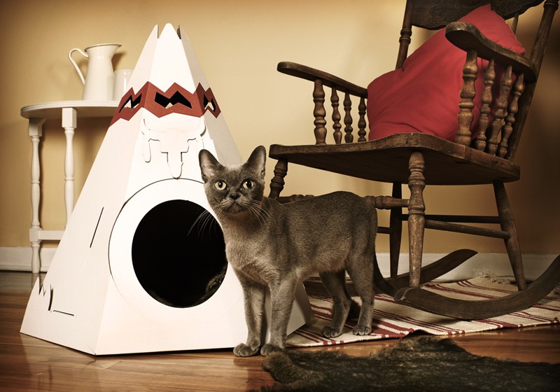 Cool Cat Houses Cardboard