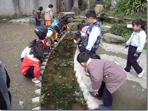 clip_image002