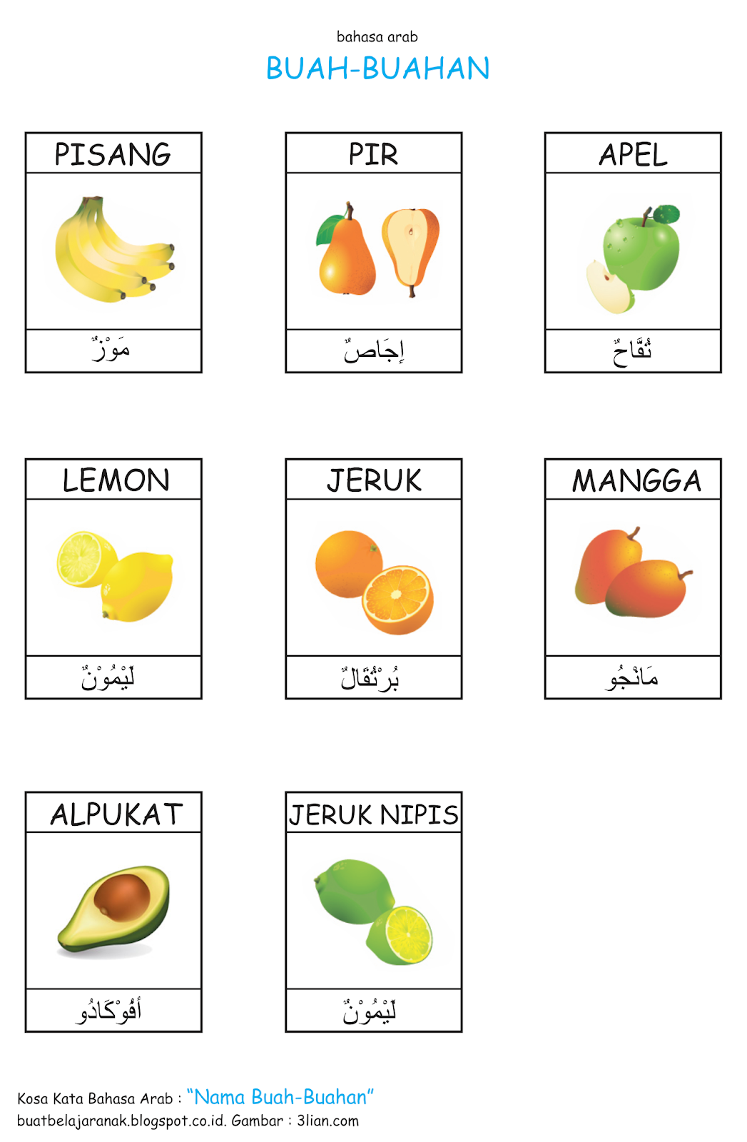 Kosa Kata Nama  Buah  buahan Dalam  Bahasa  Arab  Buat 
