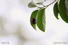 IMG_8355