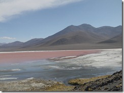 P1030988