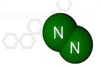 Peranan Unsur Nitrogen (N) pada Tanaman