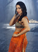 Tamanna, hot, navel, show, -racha, movie