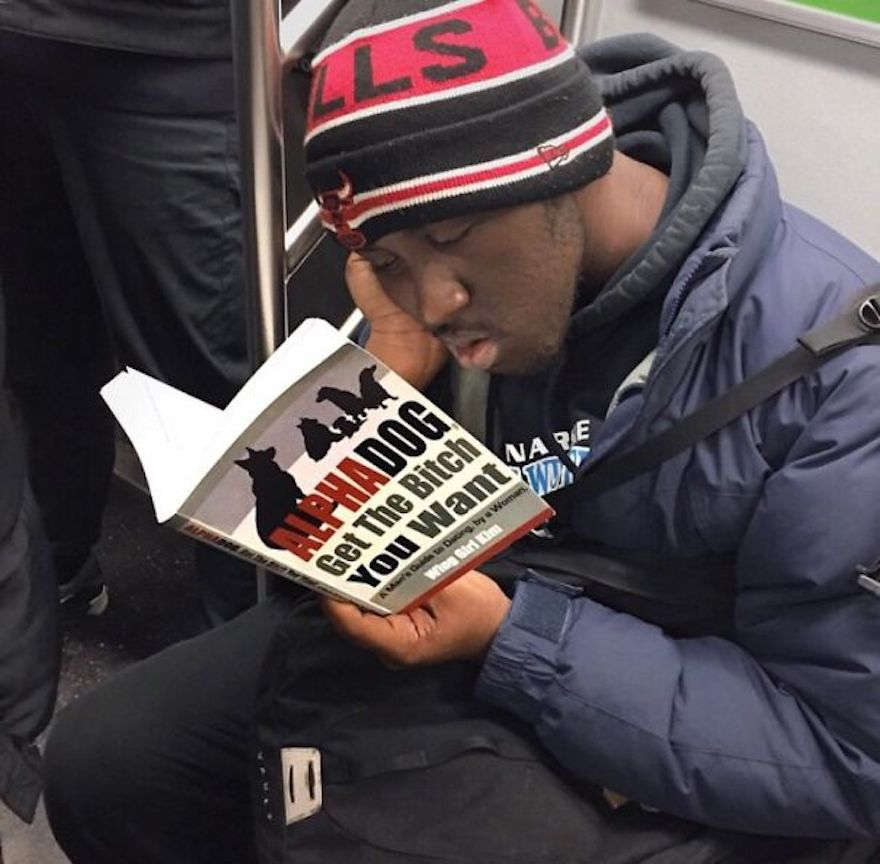 17 Hilarious Pictures Of People Reading All The Wrong Books In Public - Learning How To Be An Alpha Dog Is Exhausting