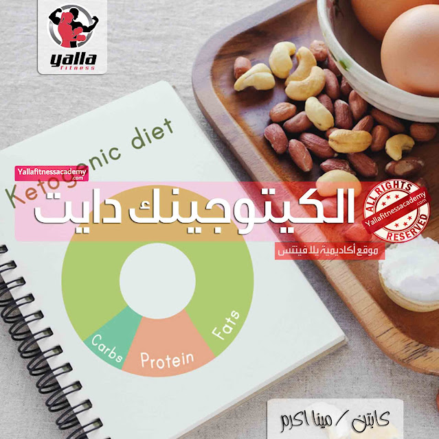 شرح تفصيلي عن الكيتوجينك دايت Ketogenic Diet