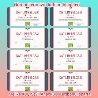 Resim