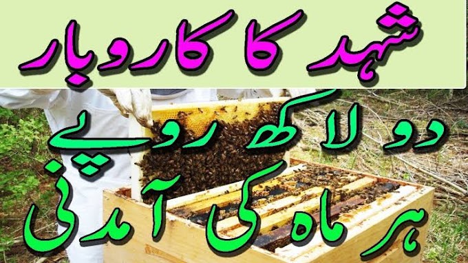 How to Start a Profitable Beekeeping Business