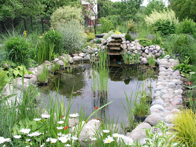 Pond Garden 3