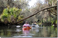 Hillsborough River SP Fl