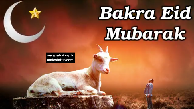 Bakra Eid Mubarak Status for Whatsapp | Free Download Eid Status 2020