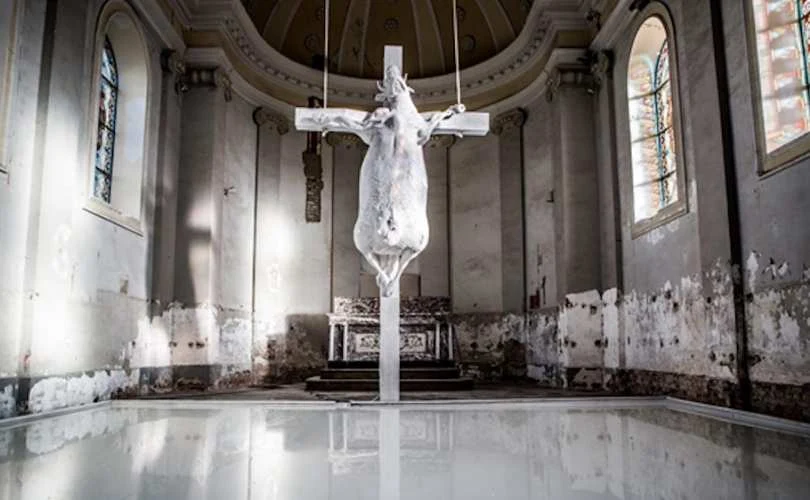 ΒΕΛΓΙΟ: «Σταυρωμένη αγελάδα» στο κέντρο καθολικής εκκλησίας