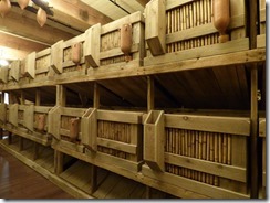 Ark Encounter