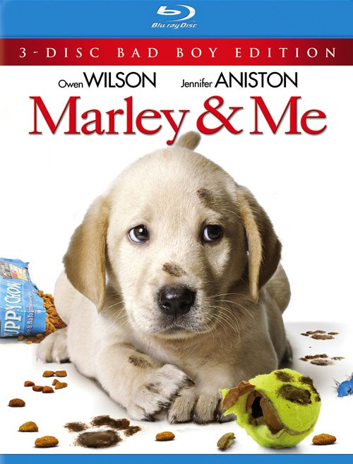 marley and me book. Marley and Me: BOOK VS. MOVIE