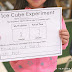 Ice Cube Experiment