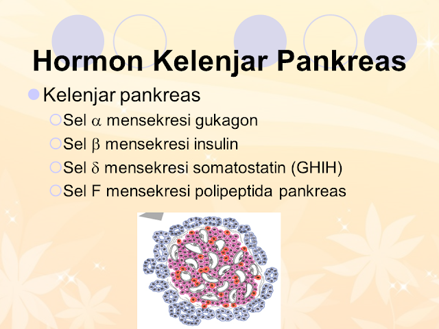 Hormon Kelenjar Pankreas