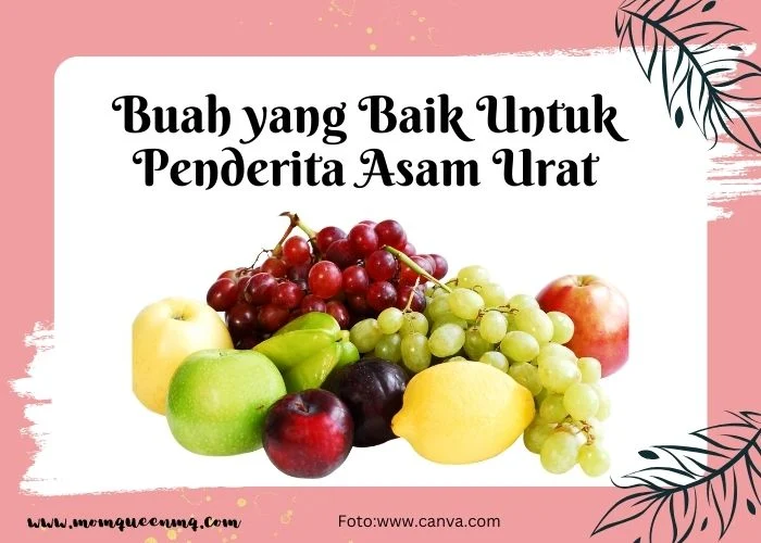 makanan untuk penderita asam urat