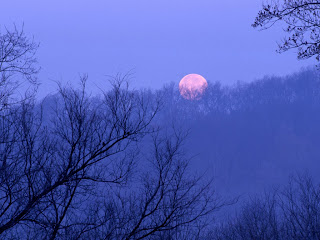 full moon setting percy warner (15)