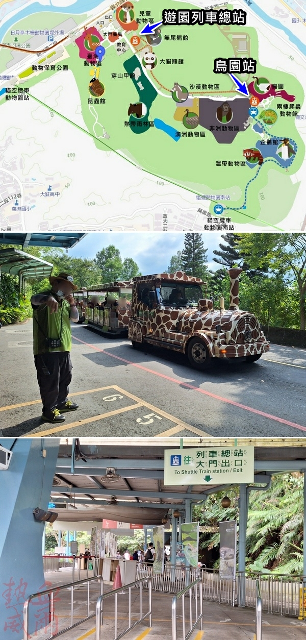 台北木柵動物園｜大熊貓｜團團圓圓
