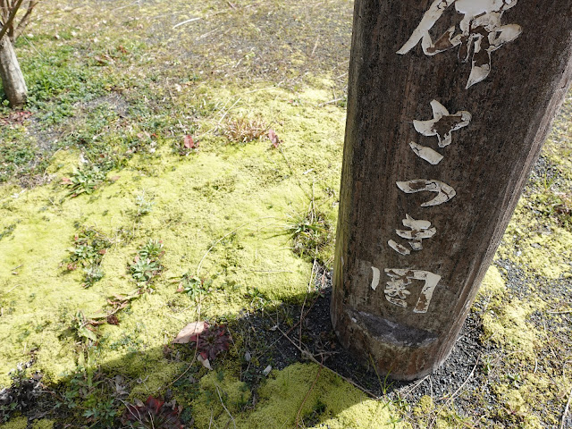 鳥取県道180号伯耆溝口停車場線　緑水湖　展望台　念佛さつき園