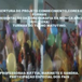 Exibir álbum