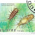 1996 - Bulgaria - Asellus aquaticus