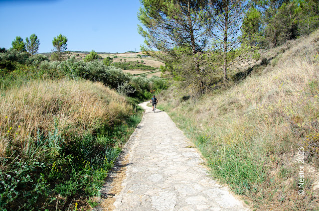 Sansol. Navarra