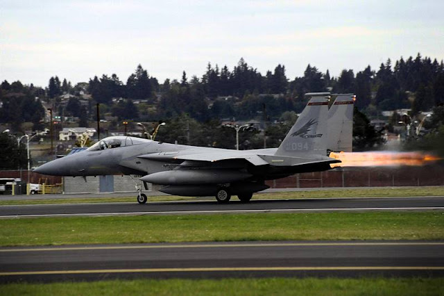 Reinstated pilot first to fly F-15 Eagle with cervical prosthetic disc