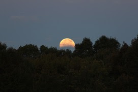 Harvest moon 2014