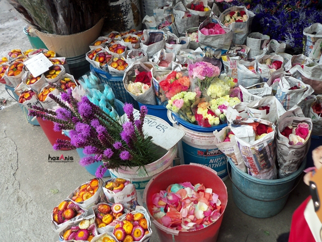 Cameron Highlands : Bunga segar - ! Love Is Cinta
