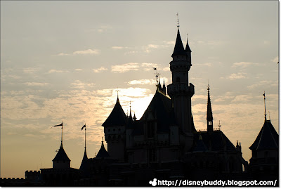 Disney Castle under sunset