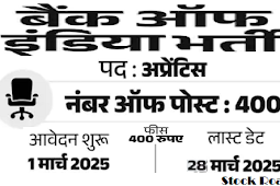 बैंक ऑफ इंडिया में अप्रेंटिस के 400 पदों पर भर्ती; स्टाइपेंड 12,000 से ज्यादा (Bank of India recruits 400 apprentice posts; Stipend is more than Rs 12,000)