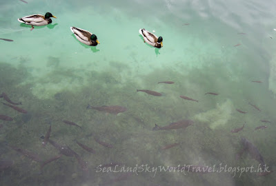 Plitvice Lakes National Park, Lower, 下湖, 克羅地亞, 十六湖