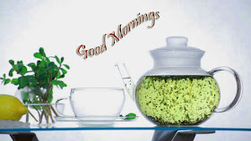 hot-green-tea-in-the-morning-photos