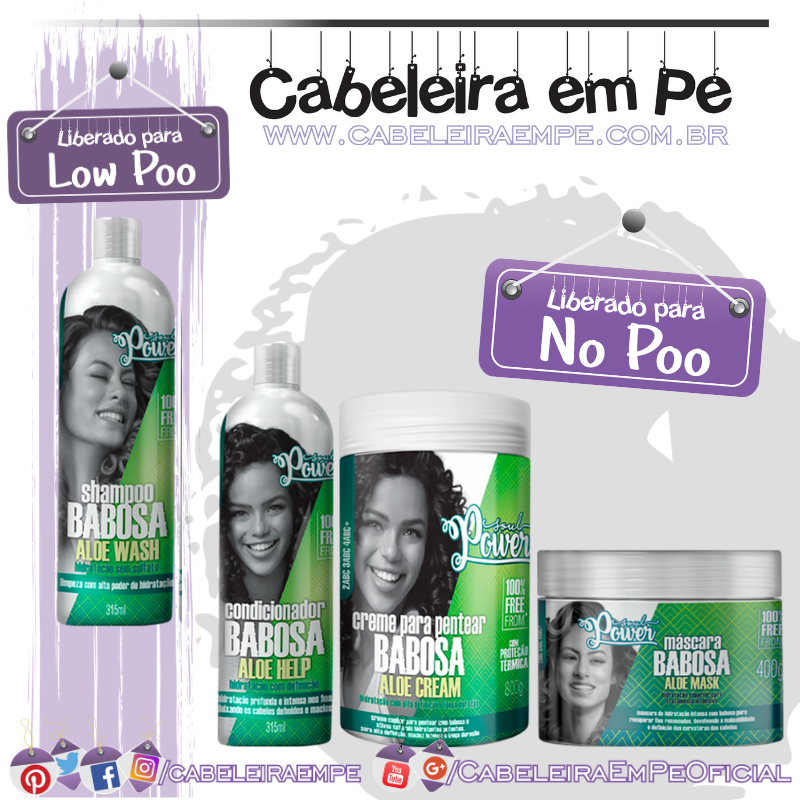 Shampoo (Low Poo), Condicionador, Máscara e Creme para Pentear (liberados para No Poo) Babosa - Soul Power