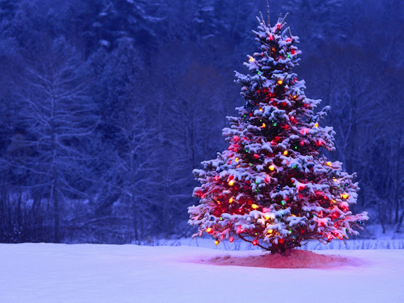 Merry Christmas download besplatne pozadine za desktop 1152x864 slike ecards čestitke Sretan Božić