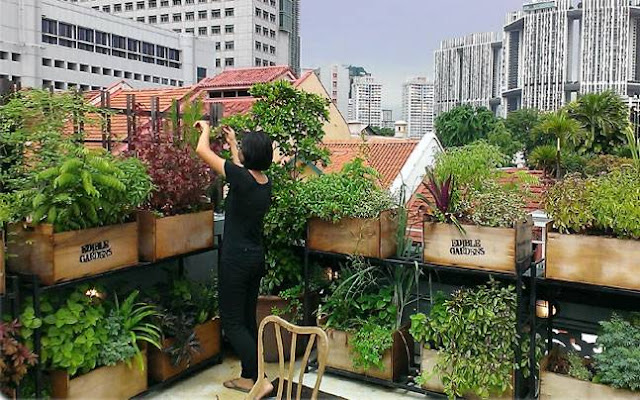 Garden Tops On the roof
