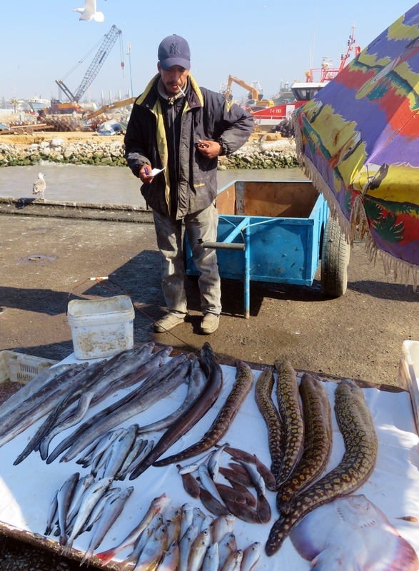 Как покупать свежую рыбу в Эс-Сувейре