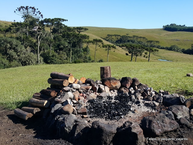 sapecada de pinhão na grimpa