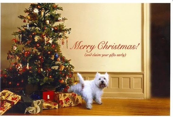 free Christmas pictures images e cards download