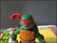 Raphael 2012