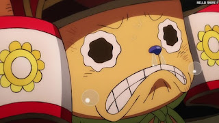 ワンピース アニメ 1070話 チョッパー Tony Tony Chopper | ONE PIECE Episode 1070