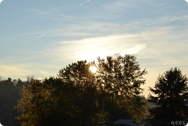 DSC_1188