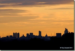 DSC_6585